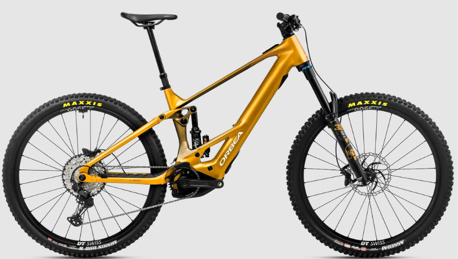 wild h10-dorado-2026