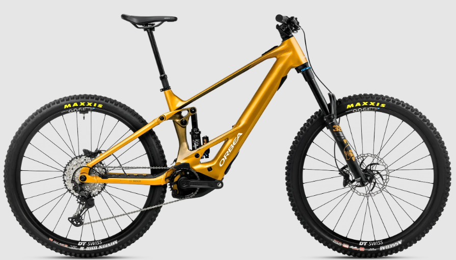 wild h10-mullet-dorado-2026
