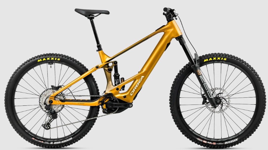 wild h20-dorado-2026
