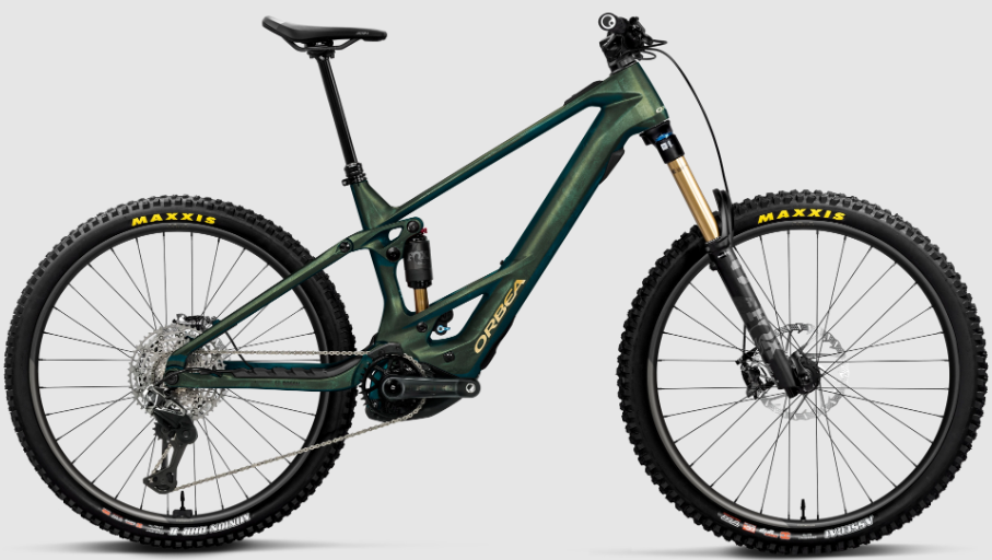 wild m-ltd mullet-verde-2026