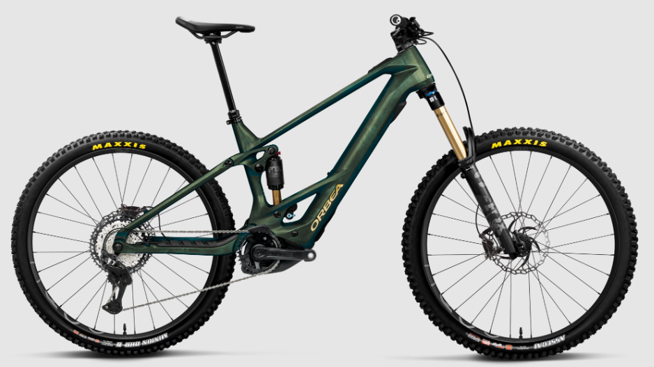 wild-m-team-verde-2026